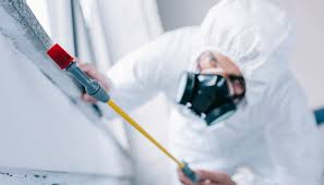 Best Fumigation Services  in Flowing Wells, AZ